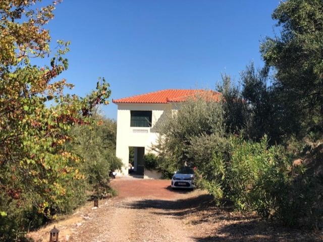 Villa Kyparissia De Wandelboom Vrises  Exterior foto