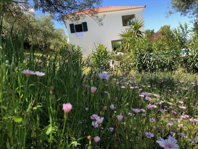Villa Kyparissia De Wandelboom Vrises  Exterior foto