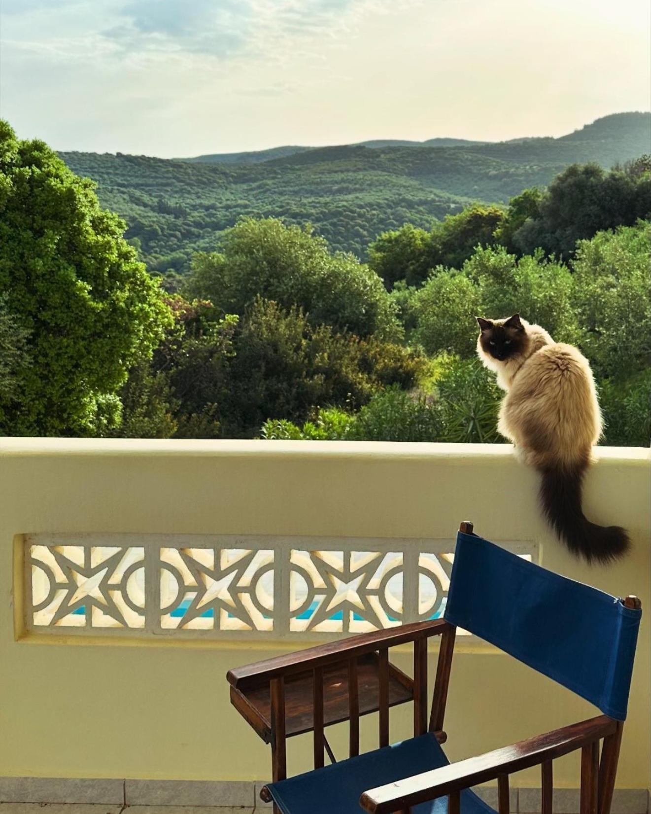 Villa Kyparissia De Wandelboom Vrises  Exterior foto